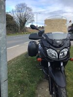 IMG_0886.jpeg