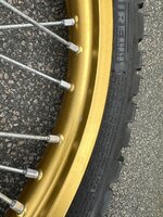 IMG_0516.jpeg IMG_0516.jpeg