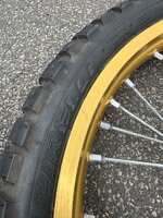 IMG_0521.jpeg IMG_0521.jpeg