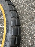 IMG_0515.jpeg IMG_0515.jpeg