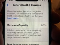 IMG_0010.jpeg