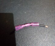 20250319_034729.jpg