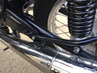 IMG_8496.jpeg