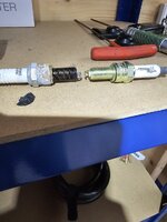 20250321_015539.jpg