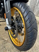 IMG_5967.jpeg