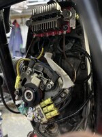 IMG_1808.jpeg