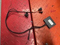 IMG_7982.jpeg