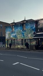 IMG_1103.jpeg