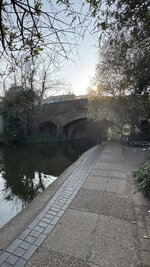 IMG_1105.jpeg