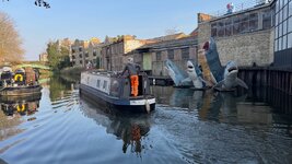 IMG_1118.jpeg