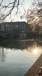 IMG_1126.jpeg