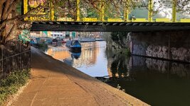 IMG_1129.jpeg