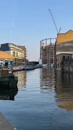IMG_1131.jpeg
