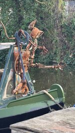 IMG_1157.jpeg