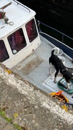 IMG_1164.jpeg