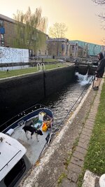 IMG_1166.jpeg
