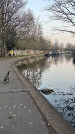 IMG_1167.jpeg