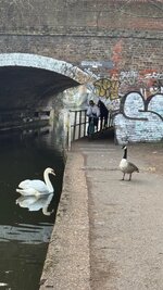 IMG_1171.jpeg