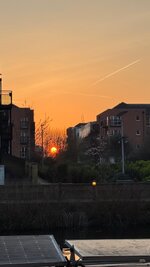 IMG_1177.jpeg