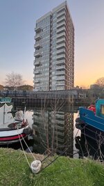 IMG_1181.jpeg