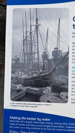 IMG_1187.jpeg