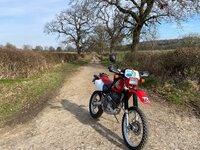 IMG_9181.jpeg