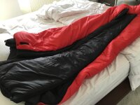 IMG_3713.jpeg