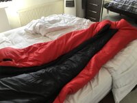 IMG_3715.jpeg
