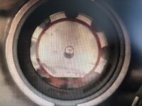 IMG_2051.jpeg