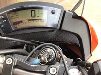 IMG_0908.jpeg