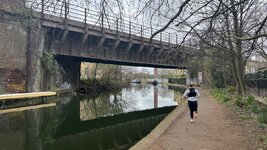 IMG_1252.jpeg