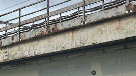 IMG_1264.jpeg