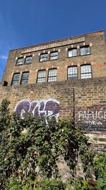 IMG_1299.jpeg