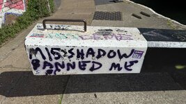 IMG_1305.jpeg