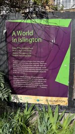 IMG_1312.jpeg