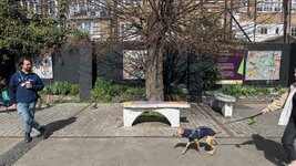 IMG_1313.jpeg