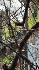 IMG_1326.jpeg
