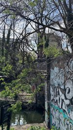IMG_1327.jpeg