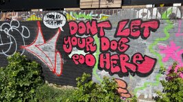 IMG_1361.jpeg