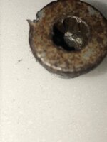 IMG_2062.jpeg