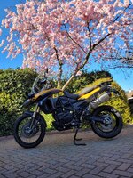 blossom.jpg