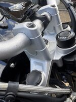 IMG_7217.jpeg