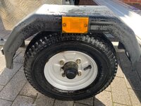 IMG_9158.jpeg