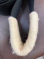IMG_0301.jpeg