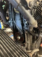 IMG_8065.jpeg