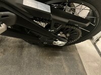 IMG_2194.jpeg