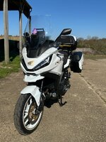 IMG_1264.jpeg