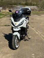 IMG_1255.jpeg
