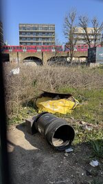 IMG_1659.jpeg