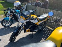 IMG_1167.jpeg